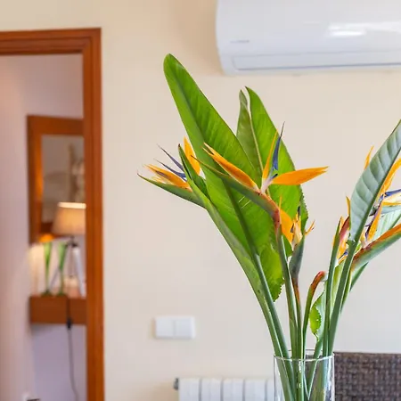 Villa Mimosa Alcudia (Mallorca)